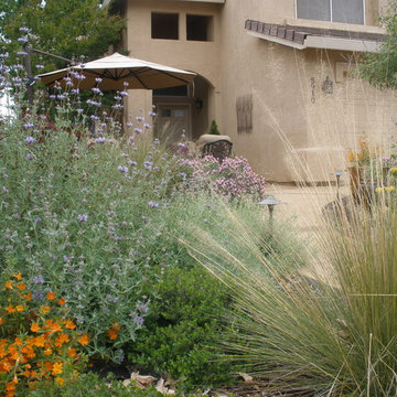 Drought Tolerant Landscape with Courtyard Feel