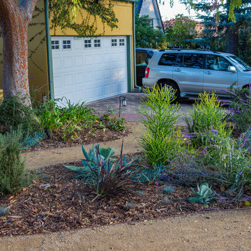 Drought Tolerant Landscape with Decomposed Granite Pathway