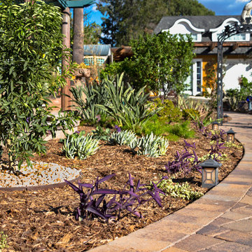 Drought Tolerant Landscape with Paver walkway