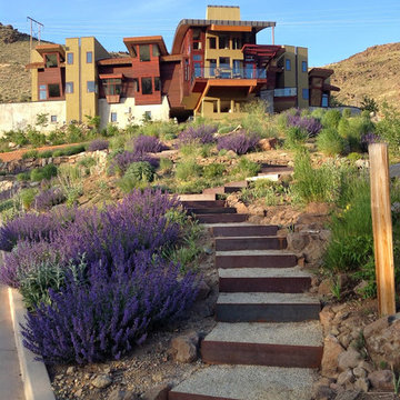 Drought-tolerant Landscapes