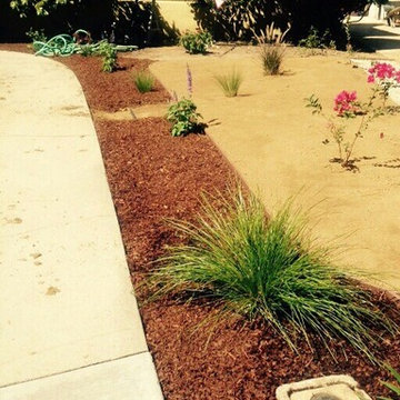 Drought Tolerant Landscaping