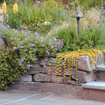 Drought Tolerant Landscaping