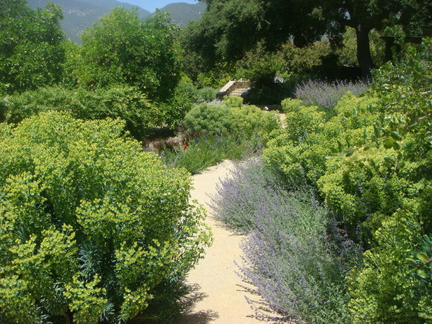 Transitional Garden by Green Goddess Gardens, Inc.