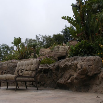 Drought tolerant projects