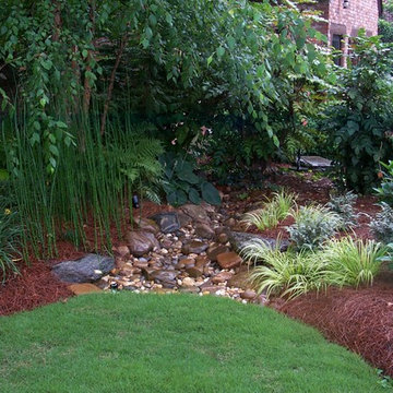 Dry Creek bed with shade loving plantings