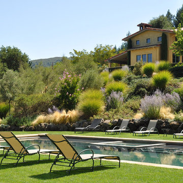 Dry Creek Valley Home - A Pool For Sharing