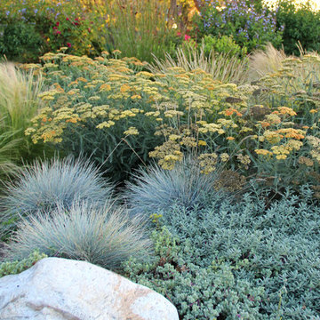 Dry Garden, Palos Verdes