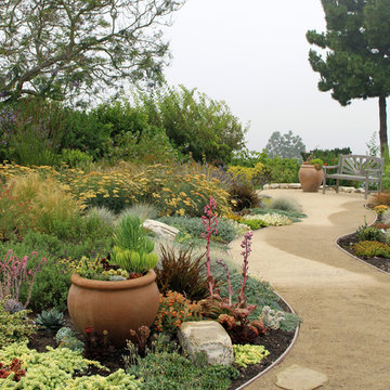 Dry Garden, Palos Verdes