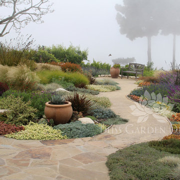 Dry Garden, Palos Verdes, CA