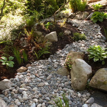 Dry Riverbed Feature