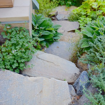 Dry stacked stairs with water wise plantings