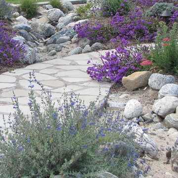 dry stream bed directs drainage during rainy season