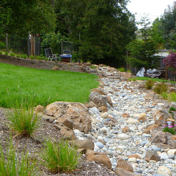 Dry Stream Bed