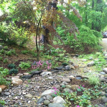 Dry stream garden