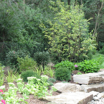 Dry Stream with Stone Wall and Planting Bed