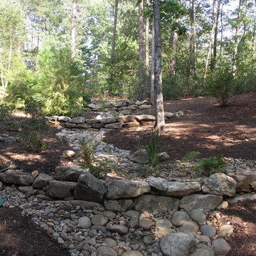 Dry Streams, Rain Gardens and Bog Gardens