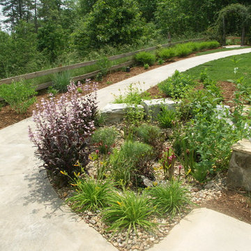 Dry Streams, Rain Gardens and Bog Gardens