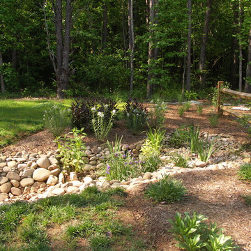 Dry Streams, Rain Gardens and Bog Gardens