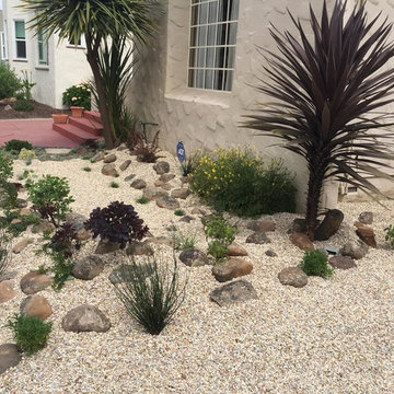 Dry Succulent Garden