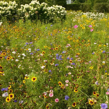 Ducktrap Garden & Wildflower Meadow
