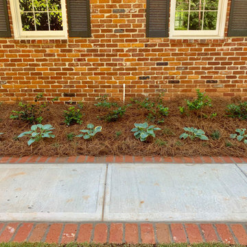 Dunwoody Front Yard Makeover