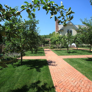 Dwarf Fruit Orchard with Brick Pathways