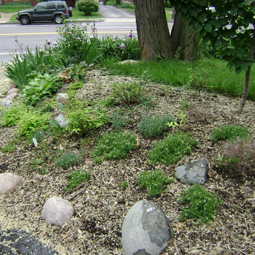 DYI Landscape - No Retaining Wall or Curb Necessary