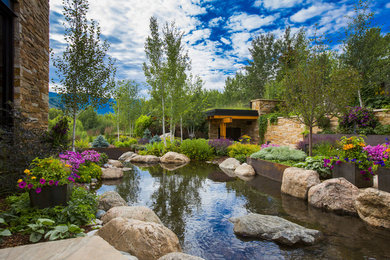 This is an example of a contemporary full sun side yard pond in Denver.