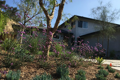Mittelgroßer Moderner Garten im Sommer mit direkter Sonneneinstrahlung und Betonboden in Los Angeles