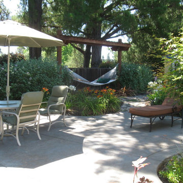 East Bay Backyard with Hammock Structure and Water Feature