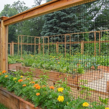 Eat Better With a Homefront Garden