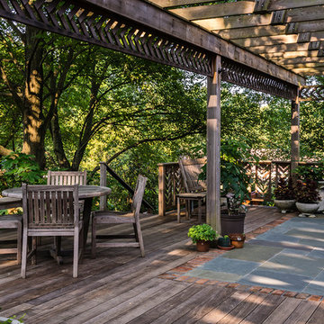 Eclectic Backyard Garden