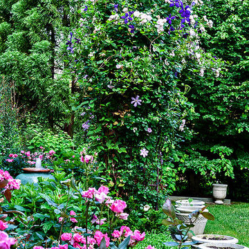 Eclectic Backyard Garden