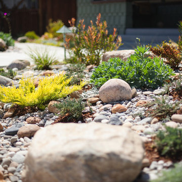 Eclectic Drought Tolerant San Diego