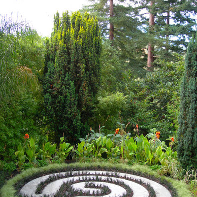 Design ideas for an eclectic backyard gravel landscaping in San Francisco.