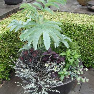 Eclectic Foliage Containers