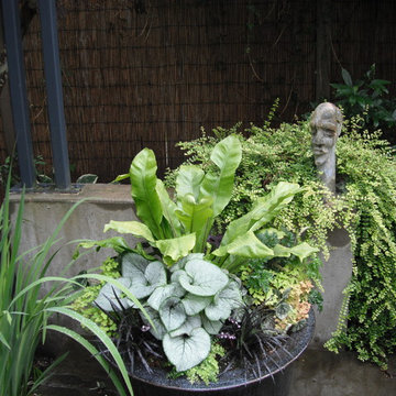 Eclectic Foliage Containers