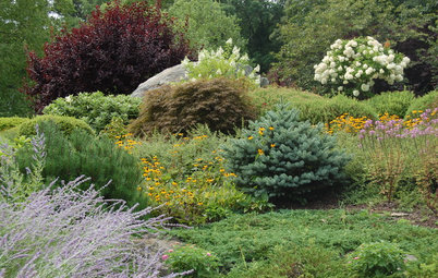 Designing With Conifers: Finding the Right Garden Bedmates