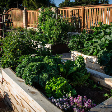 Eco-Friendly & Edible Landscape (Solana Beach, CA)