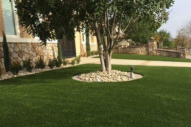 Diseño de jardín de secano de tamaño medio en patio delantero