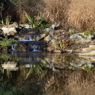 Ecosystem pond