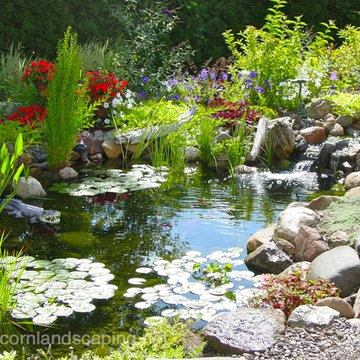 Ecosystem Pond Maintenace, Spring Pond or Water Garden Maintenance  Tips