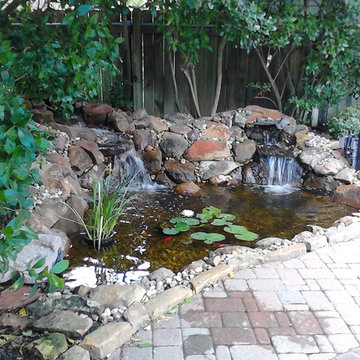 Ecosystem Ponds, Water Garden Ideas for Your Austin, Central Texas Landscape