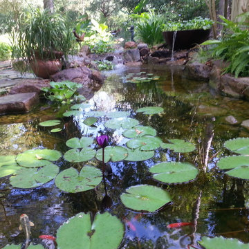 Ecosystem Ponds, Water Garden Ideas for Your Austin, Central Texas Landscape