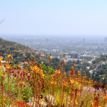 Eden Maker Design: Drought Tolerant Hillside Garden with LA City Views!