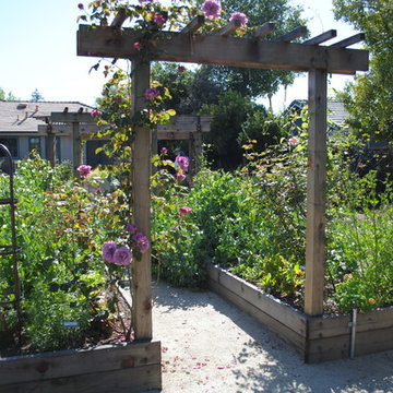 Edible & California Native Garden