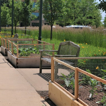 Edible Gardens