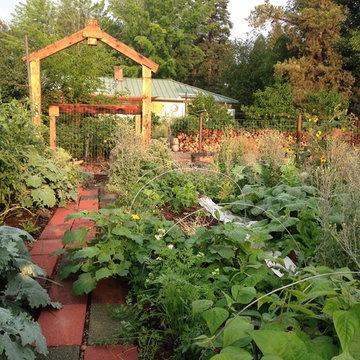 Edible Landscape Backyard