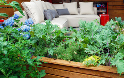 Step Right Outside for Fresh Herbs and Vegetables