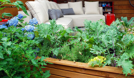 Step Right Outside for Fresh Herbs and Vegetables